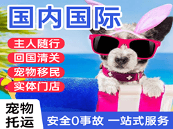张孝航空邮寄国际宠物托运 【国